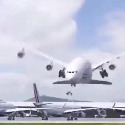It's a Bird, It's a Plane, It's a... well a Bird?!