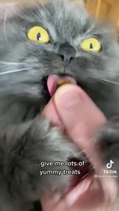 Majestic beast