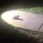 Touch my ass I’ll kill you