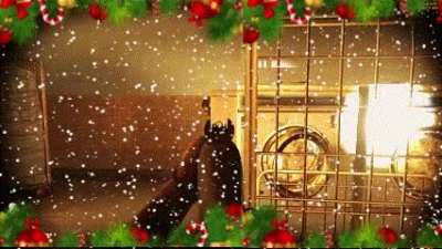 Merry Christmas 🎁