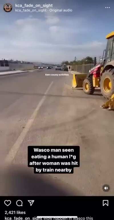 Woman has leg severed by train. Man steals leg. Eats it