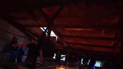 Factory farmer freaks out after activists film terrible conditions on his pig farm