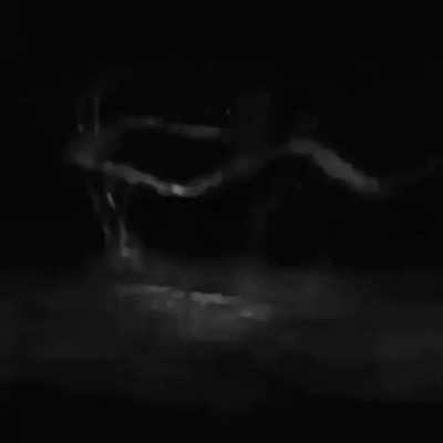 Cursed_Cryptids