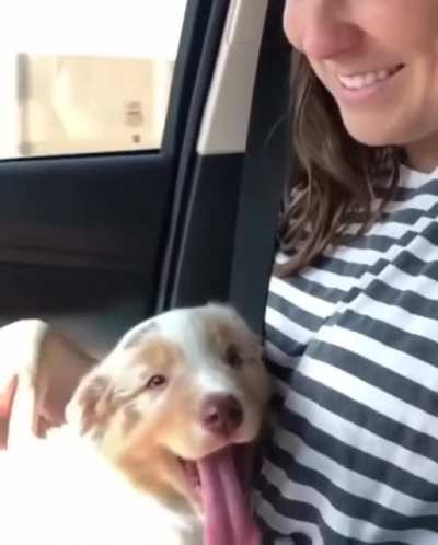 The Look of Love