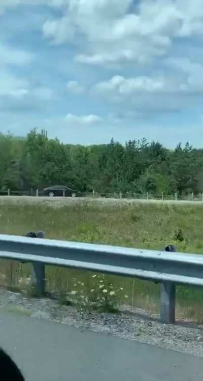 Too tired of traffic so we will reverse on a on ramp to save 5 mins
