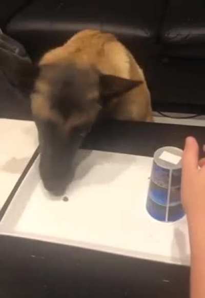 Bamboozled