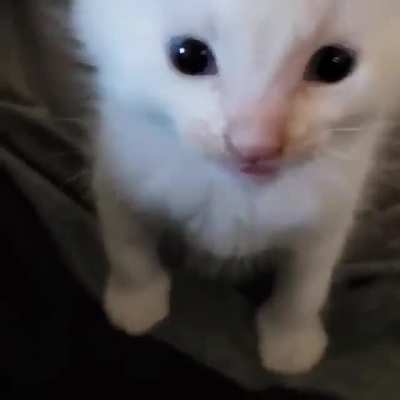 AAAAAHHHHHHH