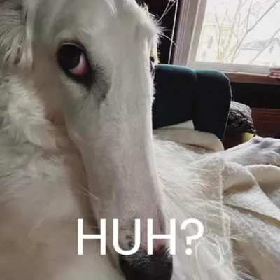 HUH?