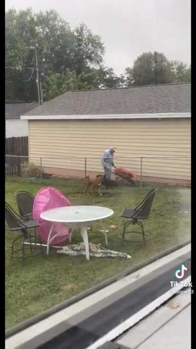 They love neighbor Joe