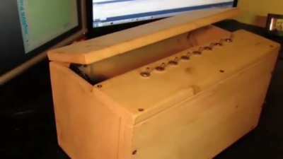 Another variant of the useless box