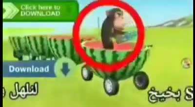 M O N K E M E L O N T R A I N