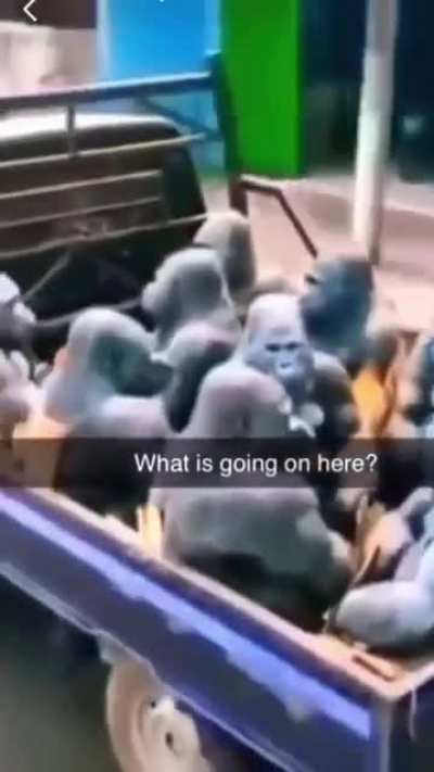 opening scene of skyrim