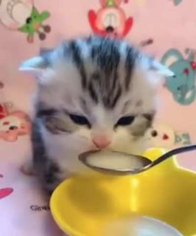 drincc