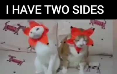 Two sided wunk