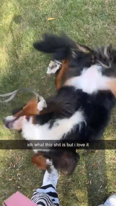 the roll around