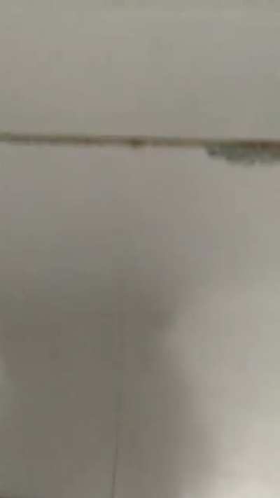 Gemidão 😂😳