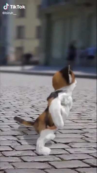 no