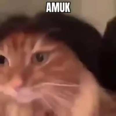 Amuk