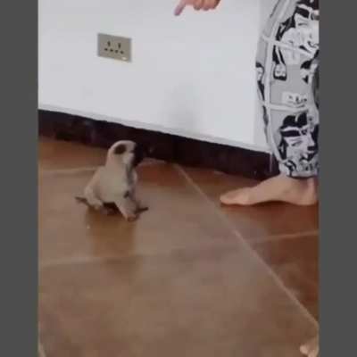 happy dance