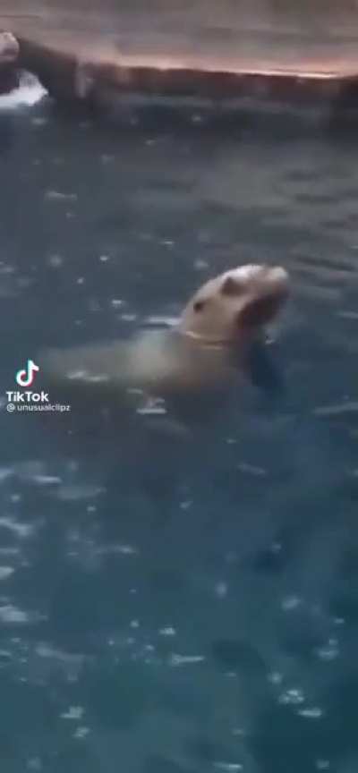 HUUUUUUUUUUU