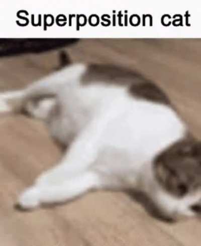 What's git doing?
