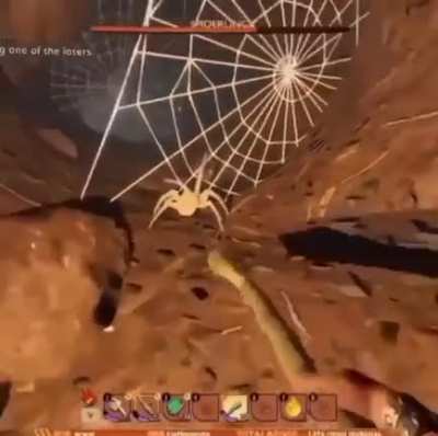 Momma Spider🕸🕷