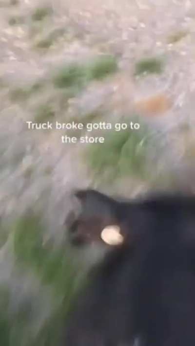 hogr