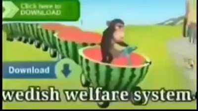 monke