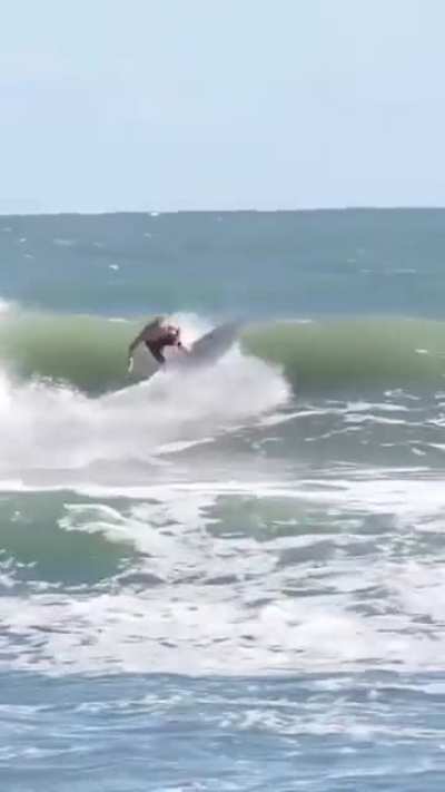 Backside Fun!