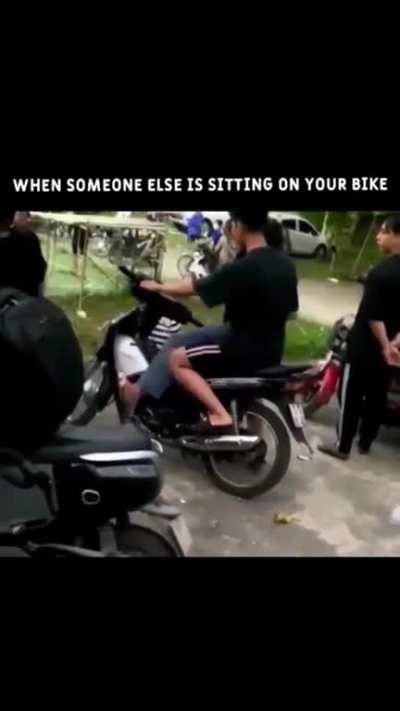 220 iq