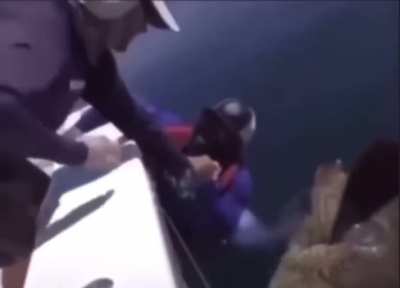 Nice catch