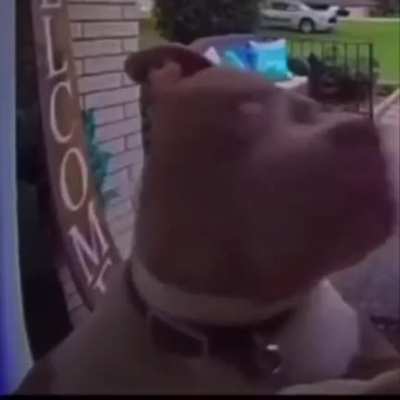 🤨