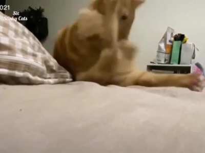 Washing the tip of the tail