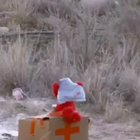 cursed_explosion