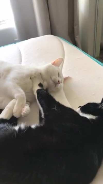 Nothing like a good ol’ throat massage