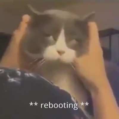 Wunky reboot