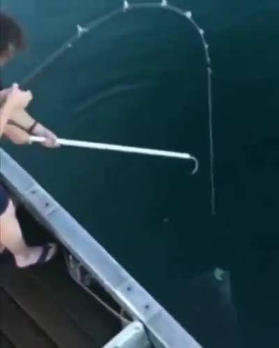 Improvise, adapt, kill