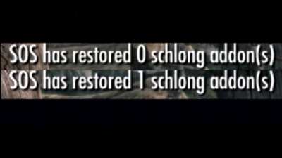 Skyim modders when