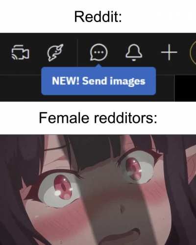 What have they done