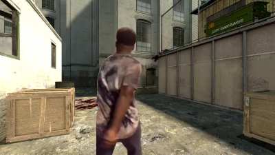The Half-Life 2 Experience [OC]