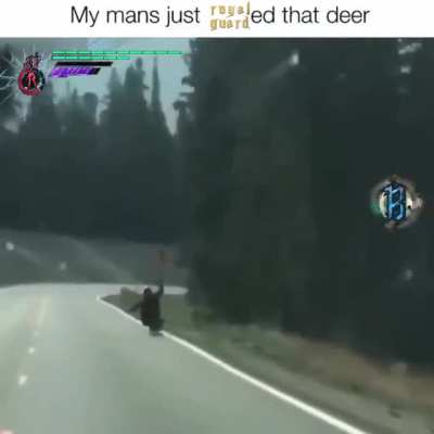 Royal Guard is the best style and you know it caw caw