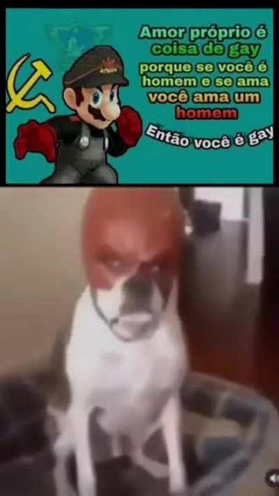 G A Y ? 🧐