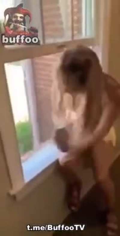 Let me remove this mosquitoes net!!!!
