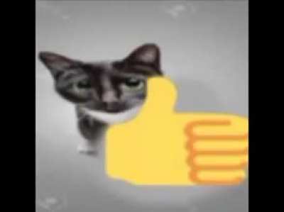 The number in the imposte