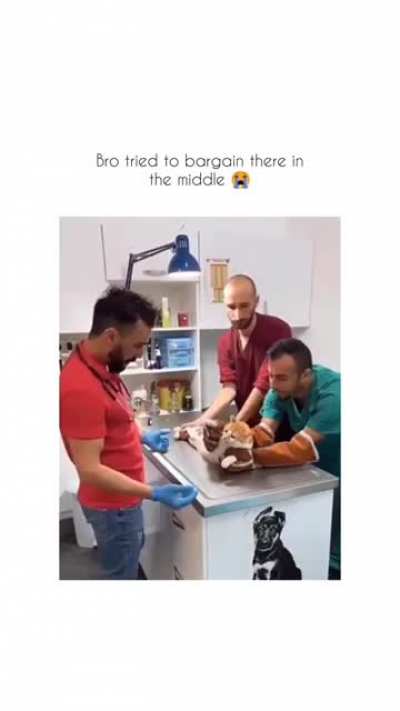 a visit to the vet...