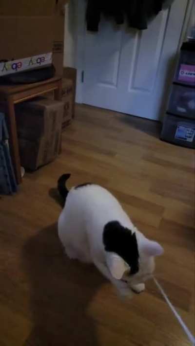 Gimli trying to get the shoelace in slow-motion is just wonderful.