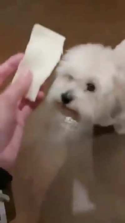 Esperando alguém 🤣🤣 botar no vídeo 