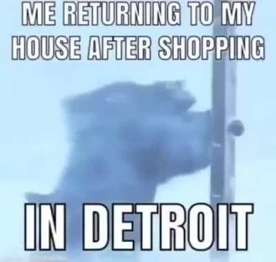 07494