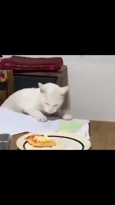 😾