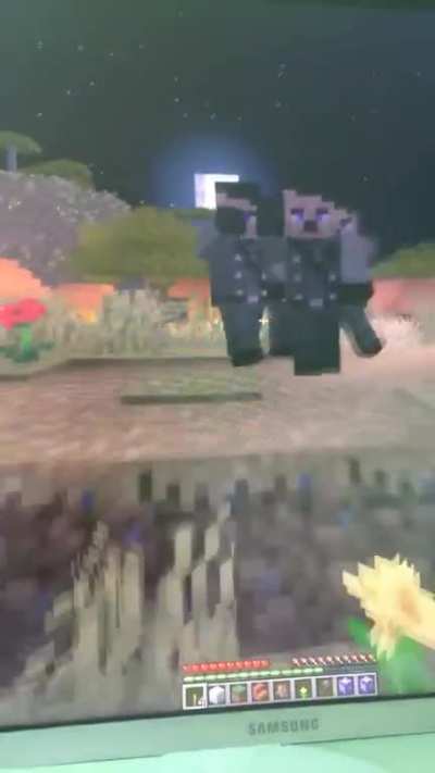 Bug in 20w28a made vindicators heil so I made them nazis.